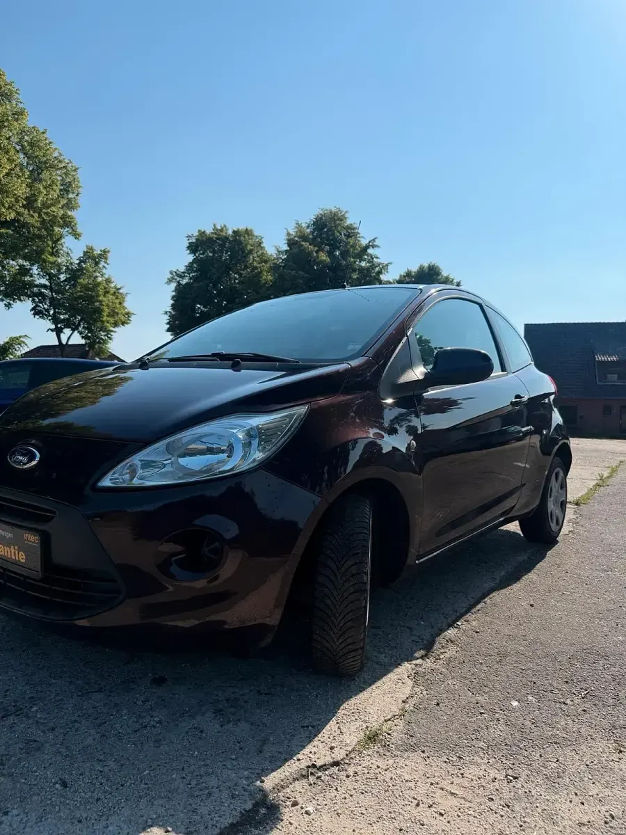 Gebraucht Ford Ka Titanium 69 PS (50 kW) 2012 Braun Kleinwagen