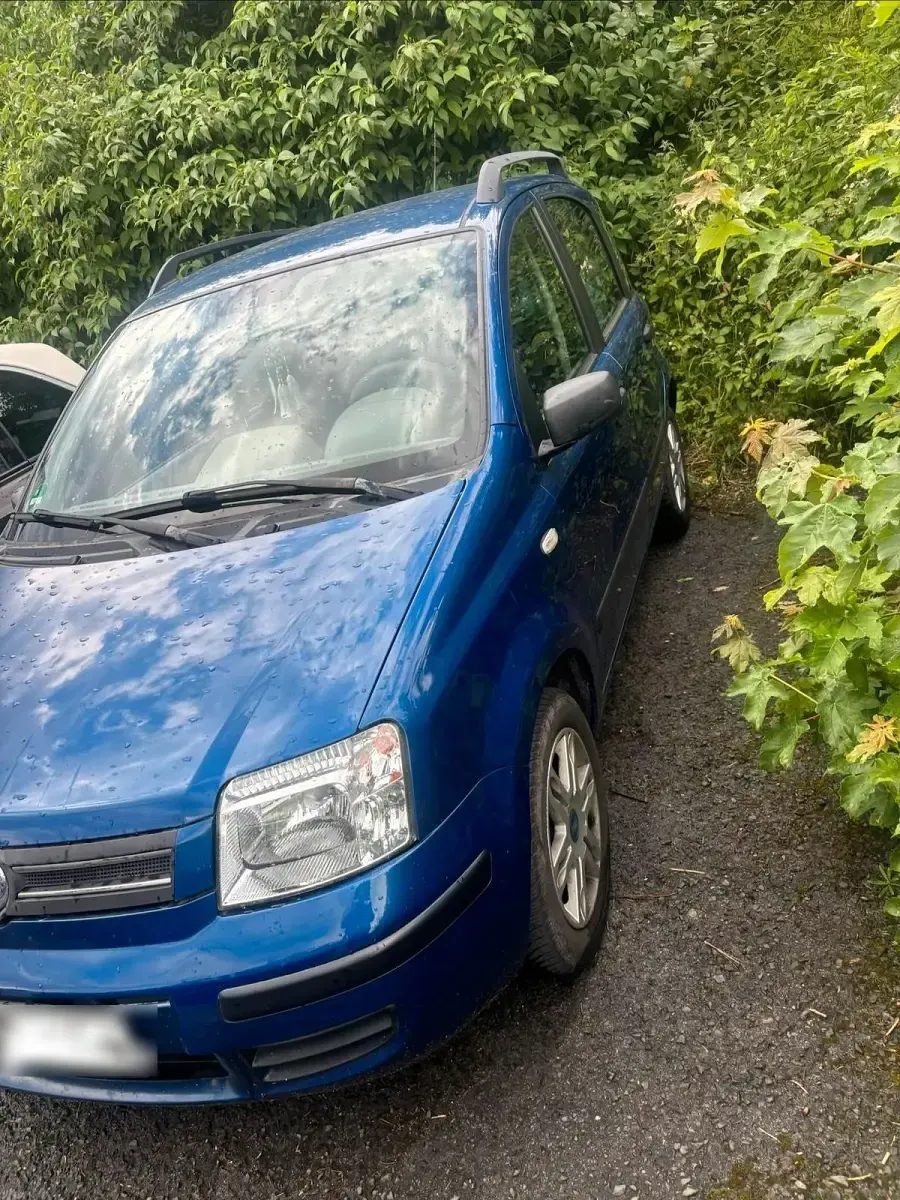 Gebraucht Fiat Panda 2005 Blau Kleinwagen