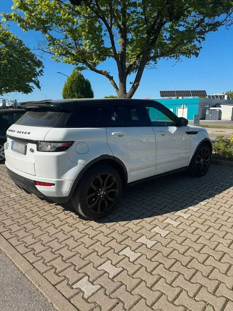 Brugt Land Rover Range Rover evoque 190 HK (139 kW) 2015 Hvid SUV