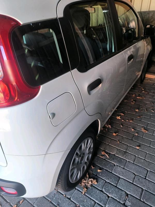 Gebraucht Fiat Panda 69 PS (50 kW) 2018 Weiß Kleinwagen