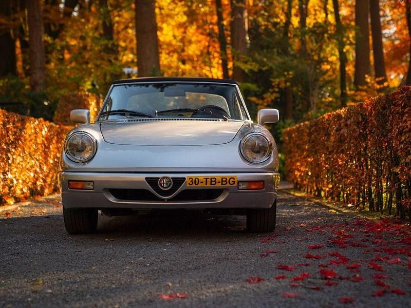 Gebraucht Alfa Romeo Spider 117 PS (86 kW) 1991 Grau Cabrio