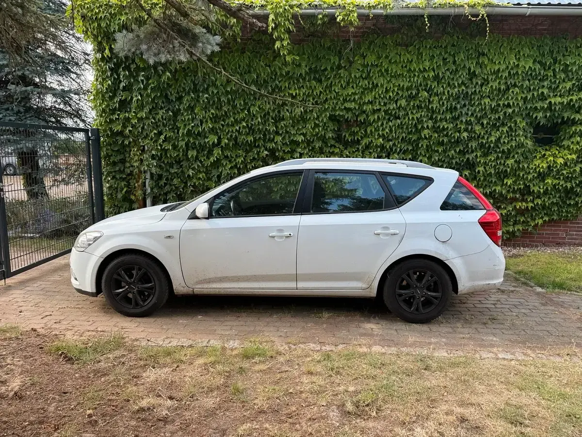 Gebraucht Kia Ceed Sportswagon 115 PS (84 kW) 2011 Weiß Kombi
