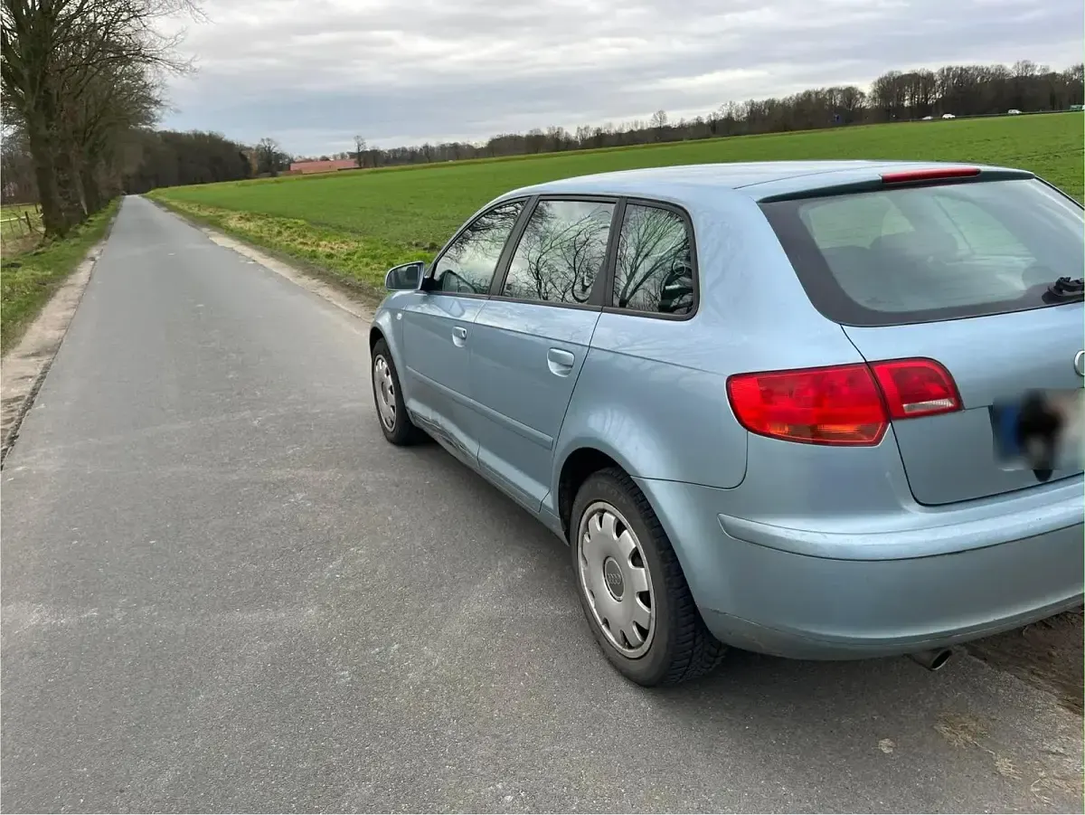 Gebraucht Audi A3 Sportback 115 PS (84 kW) 2006 Andere farben Kleinwagen