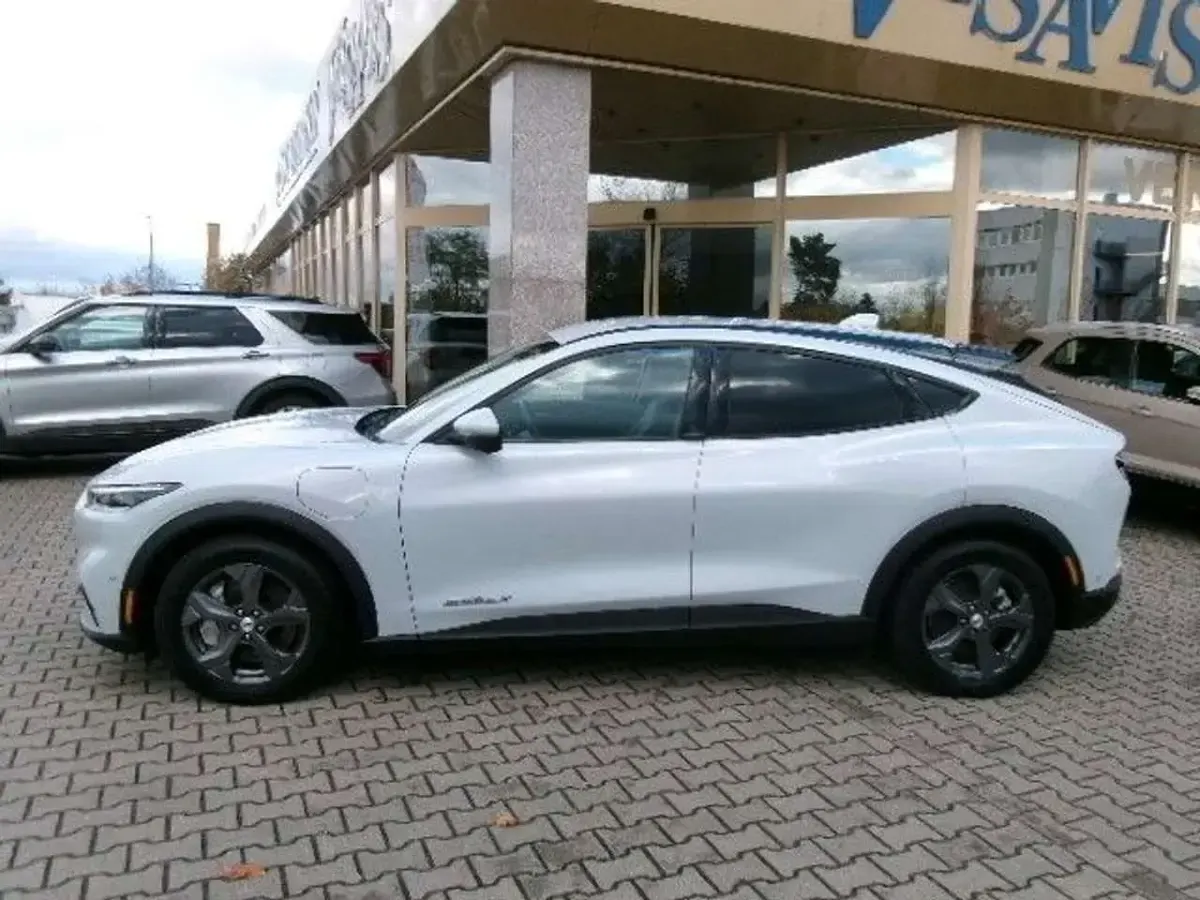 Occasion Ford Mustang 294 ch (216 kW) 2022 Blanc Berline