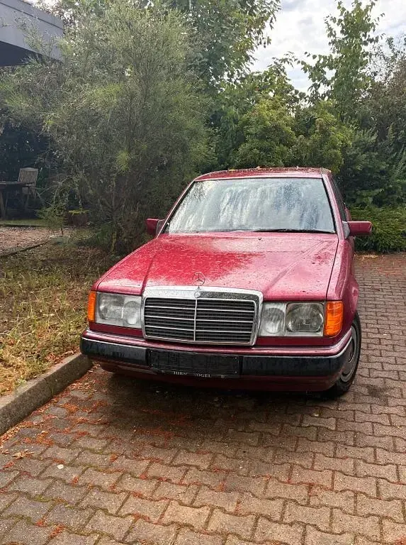 Gebraucht Mercedes 230 136 PS (100 kW) 1991 Rot Limousine