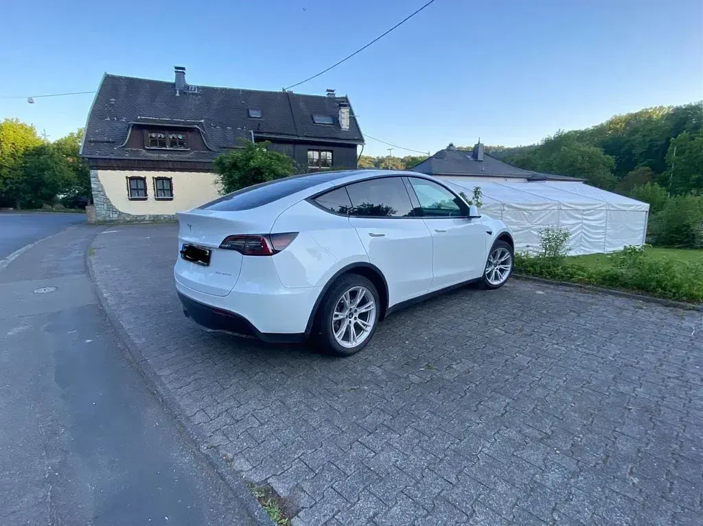 Occasion Tesla Model Y 274 kW (373 ch) 2021 Blanc SUV
