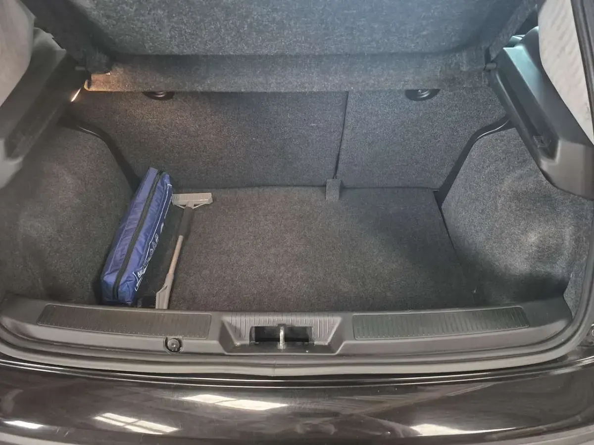 Gebraucht Fiat Punto Evo Active 77 PS (56 kW) 2010 Kleinwagen