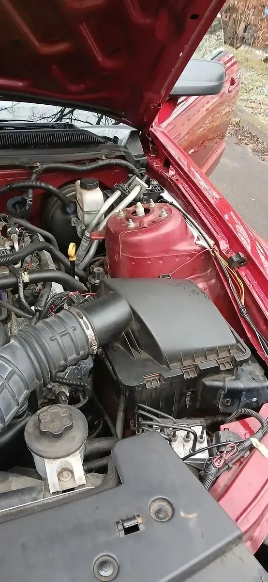 Gebraucht Ford Mustang GT 303 PS (222 kW) 2009 Rot Coupé