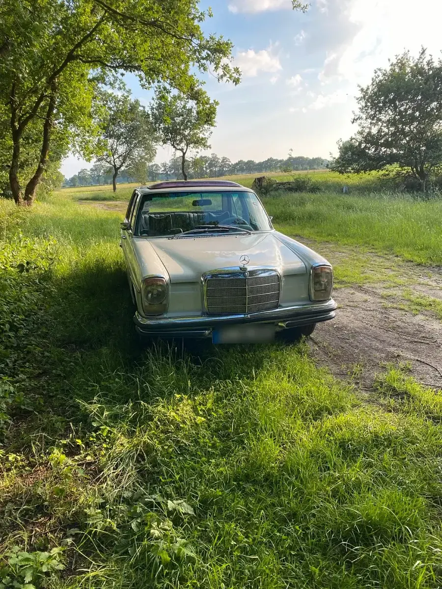 Gebraucht Mercedes W114 185 PS (136 kW) 1972 Weiß Limousine