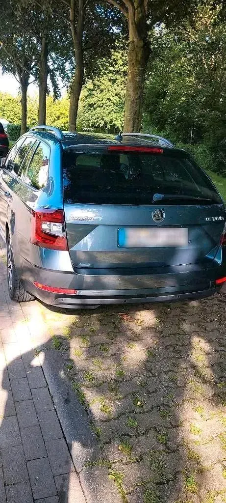 Gebraucht Skoda Octavia 150 PS (110 kW) 2019 Grau Kombi