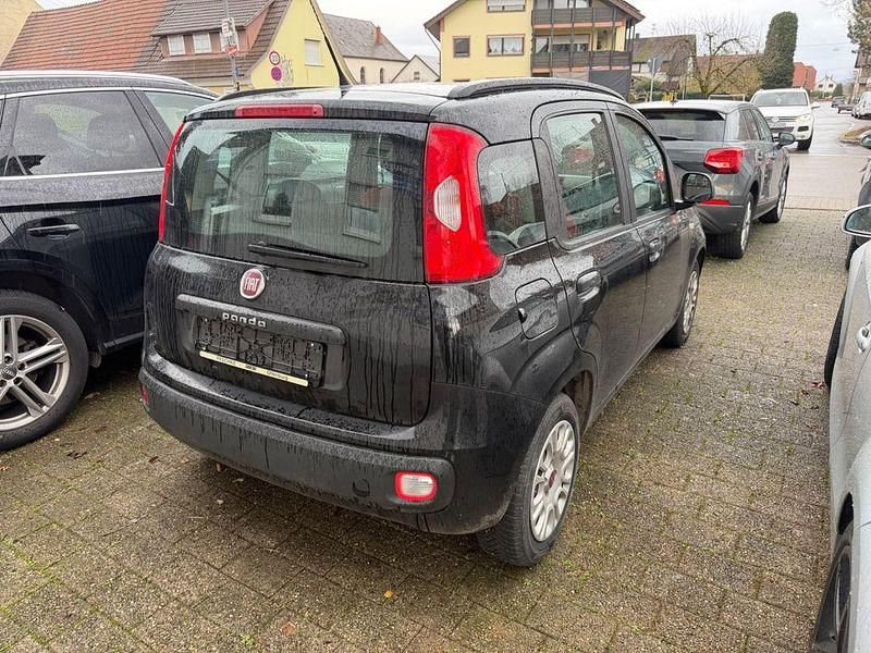 Gebraucht Fiat Panda Easy 69 PS (50 kW) 2016 Schwarz Kleinwagen