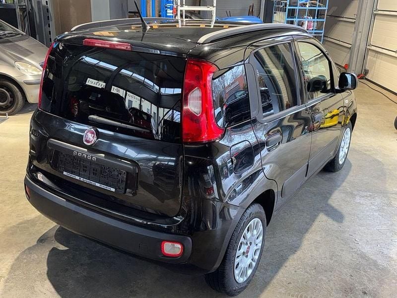 Gebraucht Fiat Panda Easy 69 PS (50 kW) 2020 Schwarz Kleinwagen
