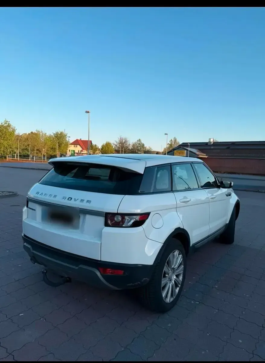 Gebraucht Land Rover Range Rover 150 PS (110 kW) 2014 Weiß SUV