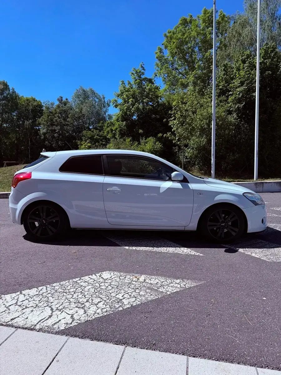 Gebraucht Kia Ceed 125 PS (91 kW) 2010 Weiß Kleinwagen