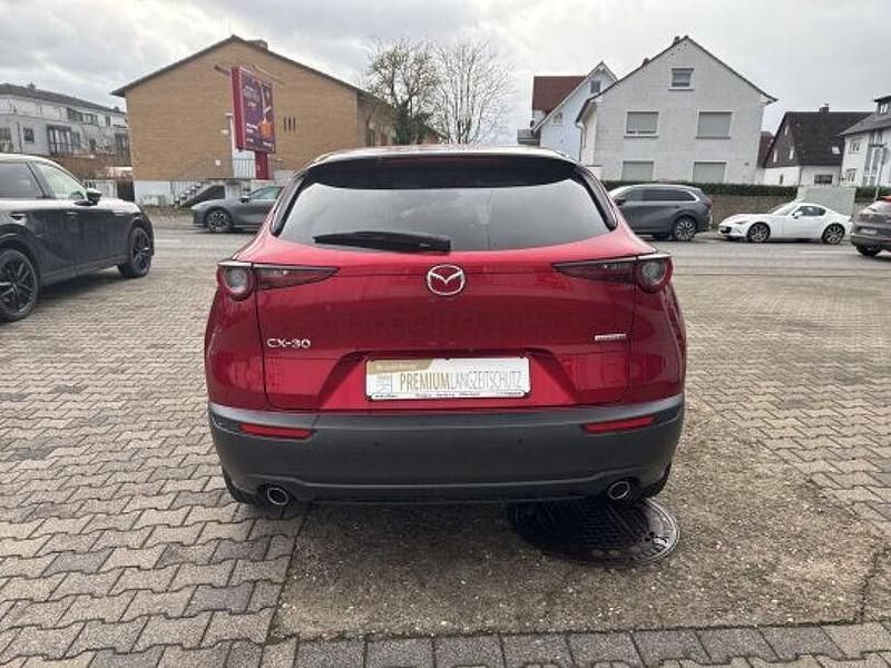 Gebraucht Mazda CX-30 2020 Rot SUV