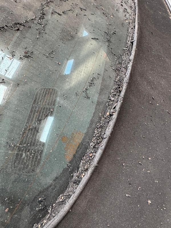 Gebraucht VW Beetle Cabriolet 75 PS (55 kW) 2003 Grau Cabrio