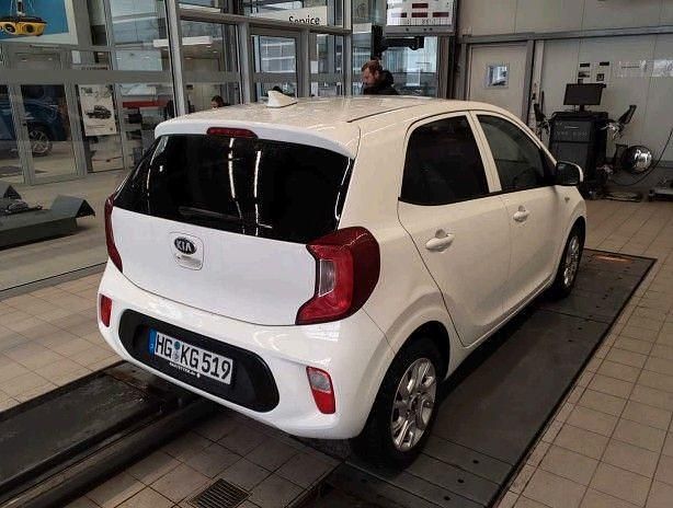 Gebraucht Kia Picanto Attract 67 PS (49 kW) 2019 Weiß Kleinwagen