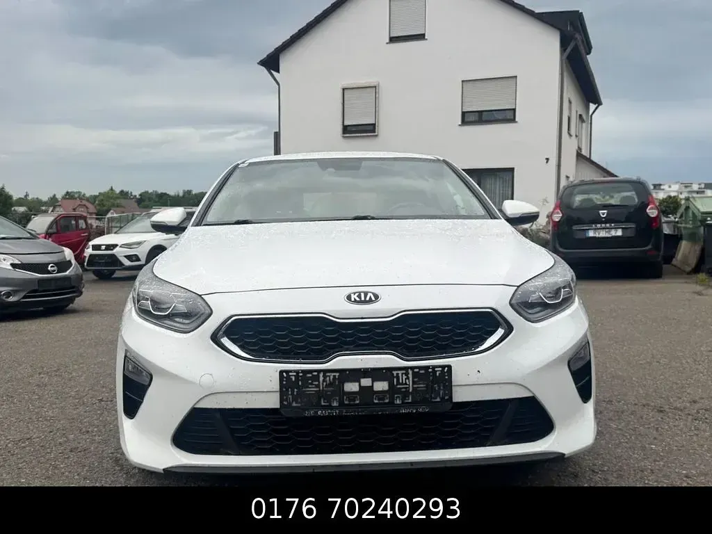 Gebraucht Kia Ceed First Edition 116 PS (85 kW) 2018 Weiß Kleinwagen