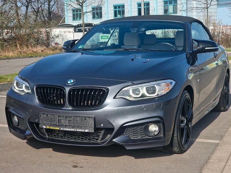 Gebraucht BMW 220 Shadowline 190 PS (139 kW) 2017 Grau Cabrio