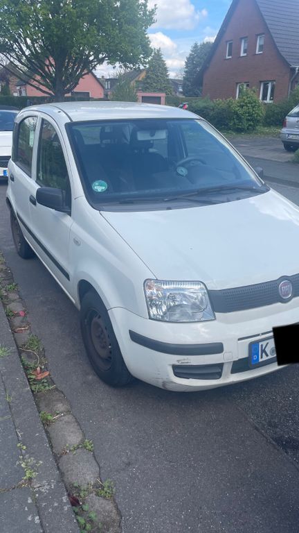 Weiß Gebraucht 2009 Fiat Panda Kleinwagen | 600 € - Bild 1/4
