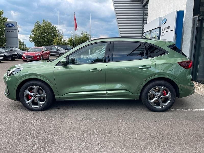 Neu Ford Kuga ST-Line X 152 PS (111 kW) 2025 Grün SUV