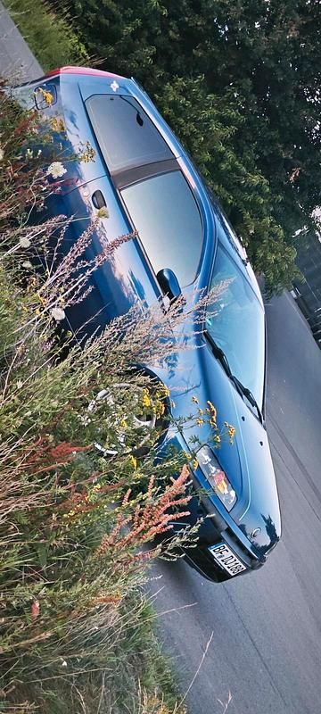 Blau Gebraucht 2001 Fiat Punto Kleinwagen | 1.200 € (Fairer Preis) - Bild 1/4