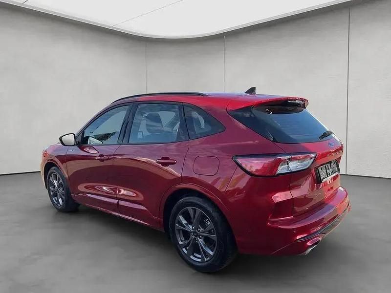 Gebraucht Ford Kuga ST-Line 151 PS (111 kW) 2024 Lucid red metallic SUV
