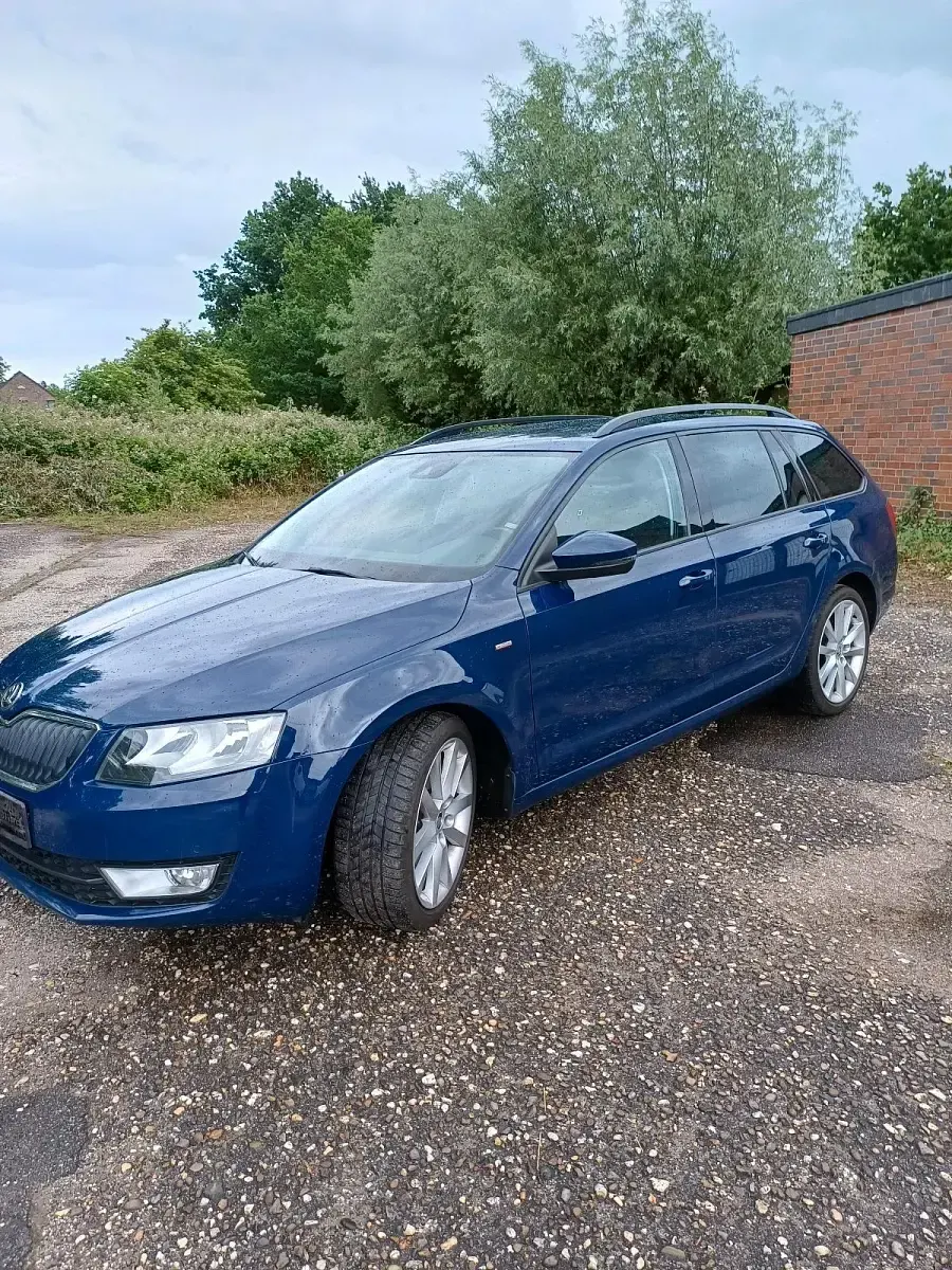 Gebraucht Skoda Octavia Joy 150 PS (110 kW) 2016 Blau Kombi