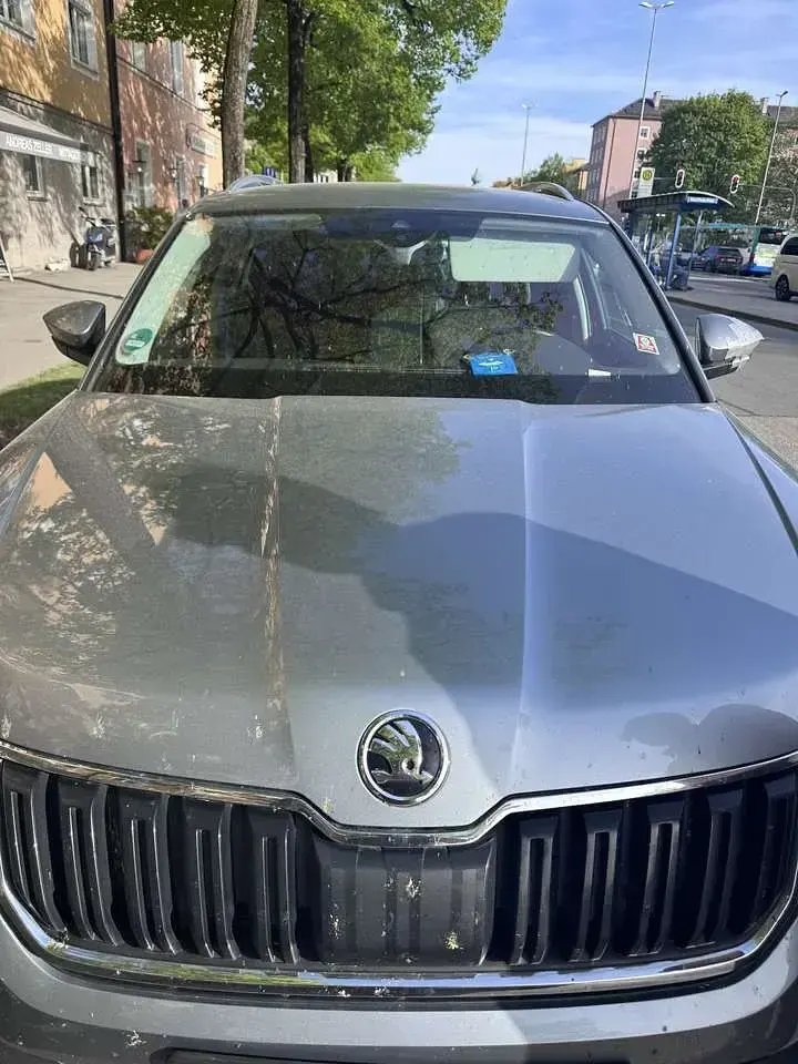 Gebraucht Skoda Kodiaq Style 179 PS (131 kW) 2018 Grau SUV