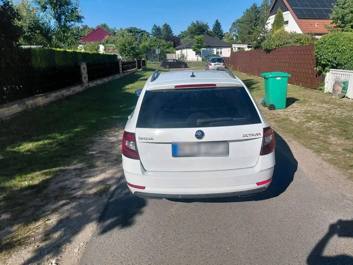 Gebraucht Skoda Octavia 150 PS (110 kW) 2018 Weiß Limousine