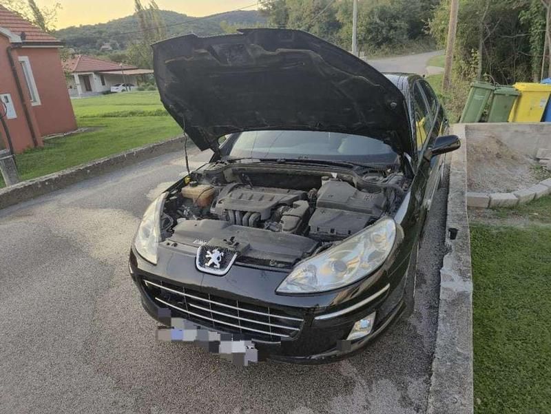 Gebraucht Peugeot 407 Premium 140 PS (102 kW) 2009 Kombi