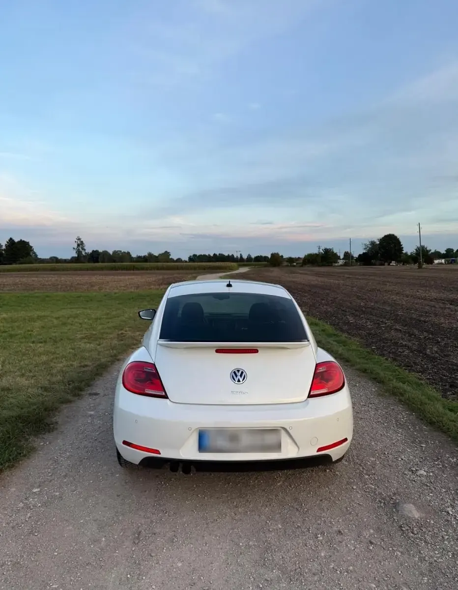 Gebraucht VW Beetle Edition 160 PS (117 kW) 2013 Weiß Kleinwagen