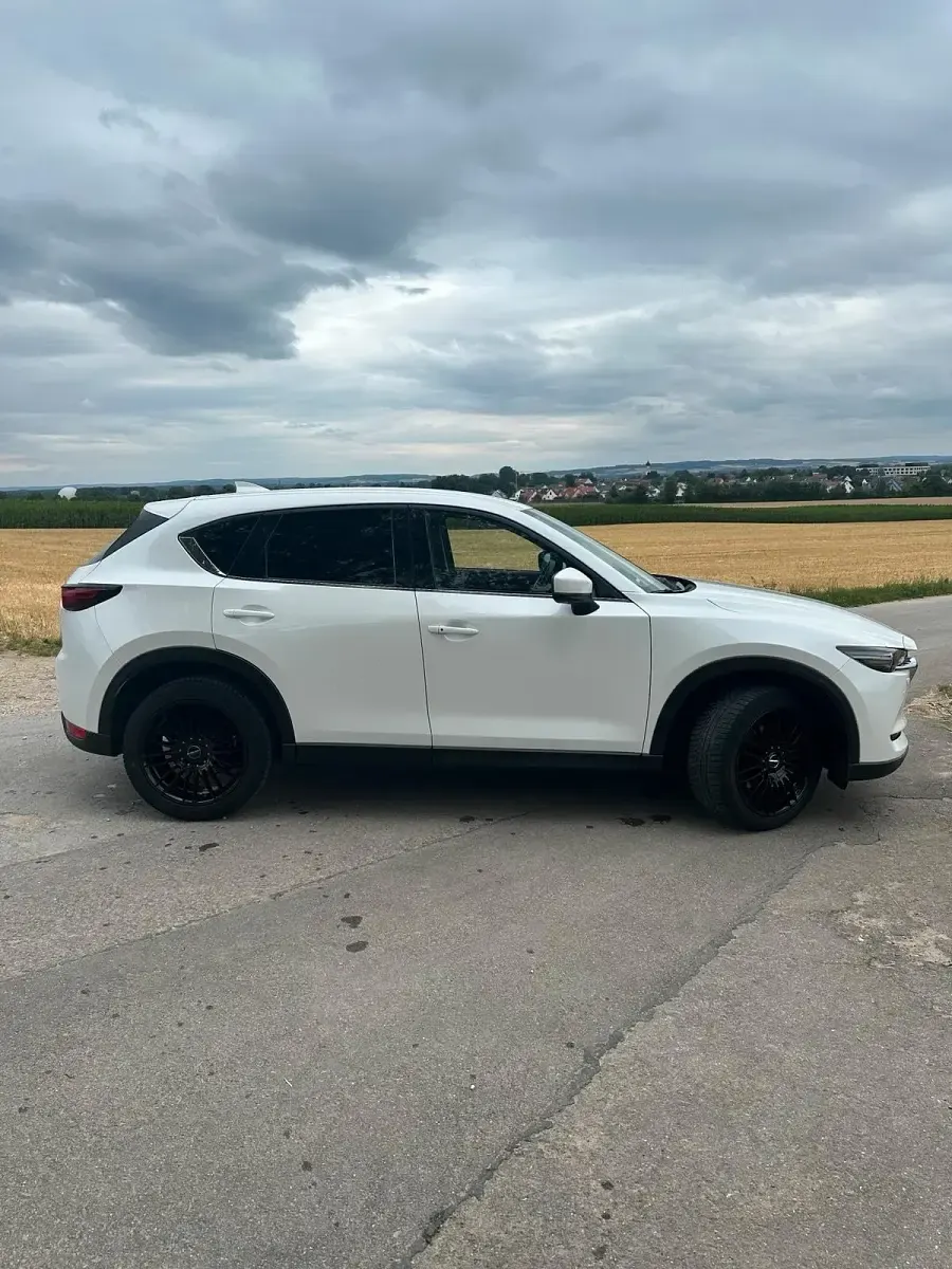 Gebraucht Mazda CX-5 Sports-Line 184 PS (135 kW) 2019 Weiß SUV