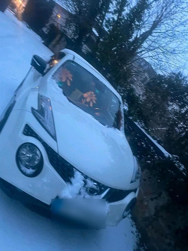 Gebraucht Nissan Juke 2016 Weiß SUV