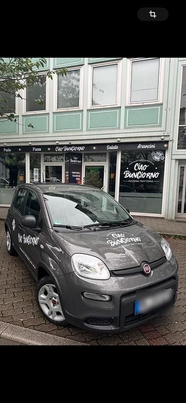 Grau Gebraucht 2024 Fiat Panda Kleinwagen | 12.499 € (Fairer Preis) - Bild 1/2