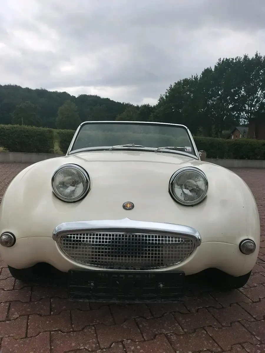 Gebraucht Austin Healey Sprite 48 PS (35 kW) 1960 Weiß Cabrio