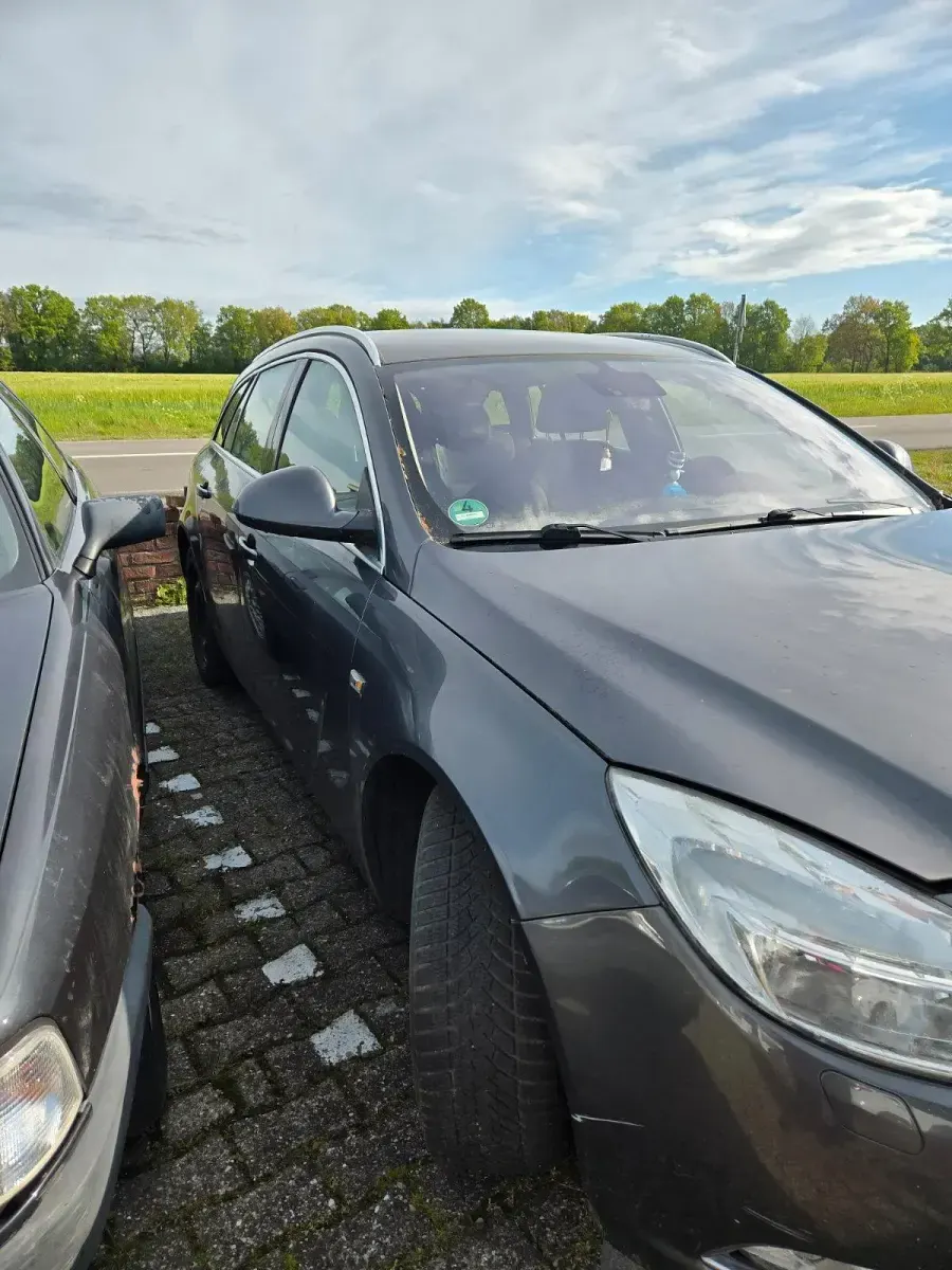 Gebraucht Opel Insignia 134 PS (98 kW) 2009 Grau Kombi