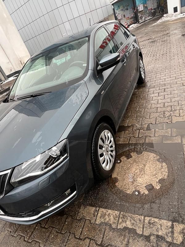 Gebraucht Skoda Rapid Clever 110 PS (80 kW) 2019 Grau Kleinwagen