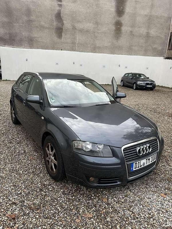 Gebraucht Audi A3 Attraction 150 PS (110 kW) 2006 Grau Kombi