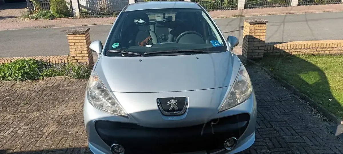 Gebraucht Peugeot 207 Urban Move 95 PS (69 kW) 2009 Grau Kleinwagen