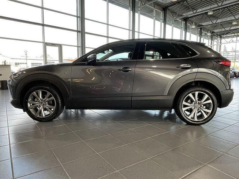 Gebraucht Mazda CX-30 140 PS (102 kW) 2025 Grau SUV