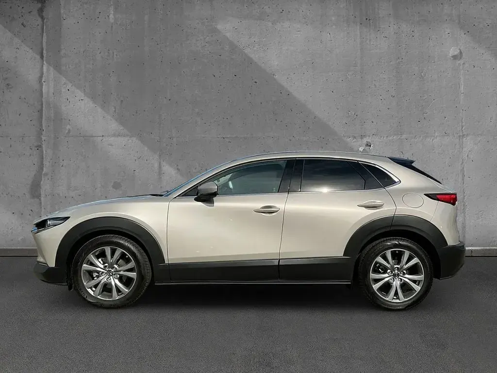 Gebraucht Mazda CX-30 Exclusive-Line 140 PS (102 kW) 2025 Grau SUV