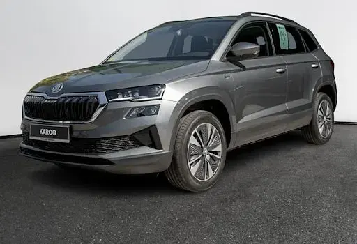 Neu Skoda Karoq Selection 150 PS (110 kW) 2026 Grau SUV