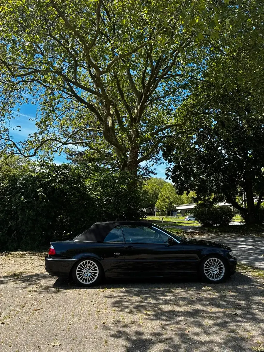 Gebraucht BMW 320 Cabriolet 170 PS (125 kW) 2004 Schwarz Cabrio