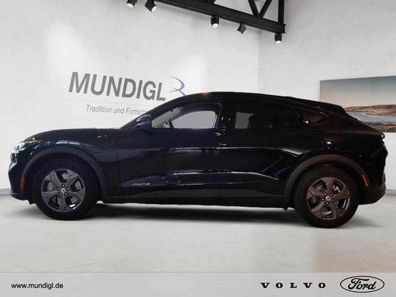 Gebraucht Ford Mustang Mach-E 197 kW (269 PS) 2022 Iridiumschwarz metallic SUV
