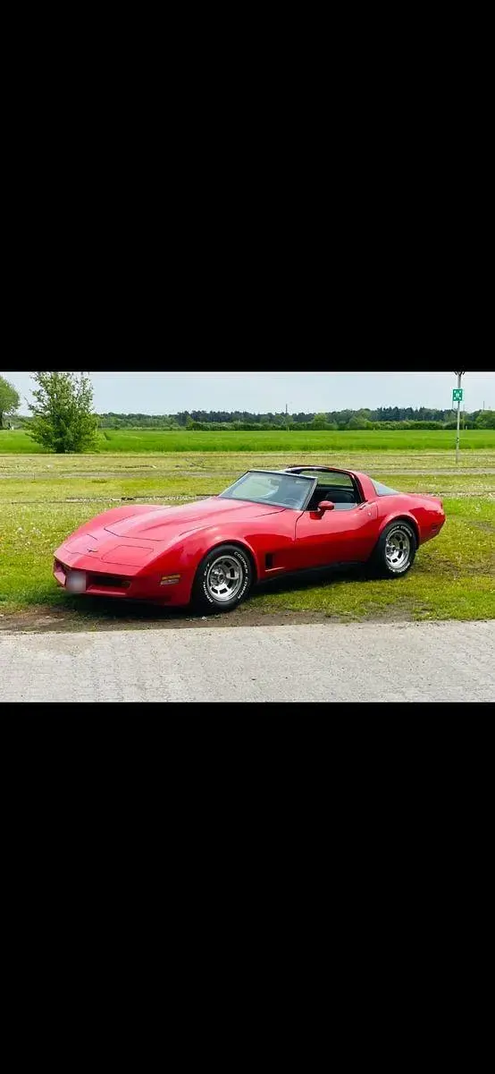 Usata Corvette C3 190 CV (139 kW) 1981 Rosso Coupé