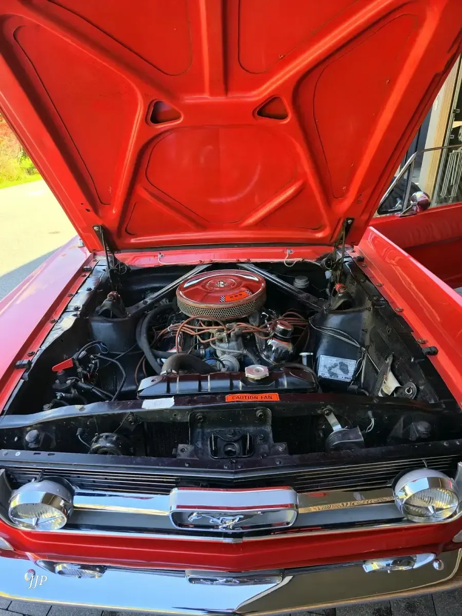 Gebraucht Ford Mustang 200 PS (147 kW) 1966 Rot Cabrio