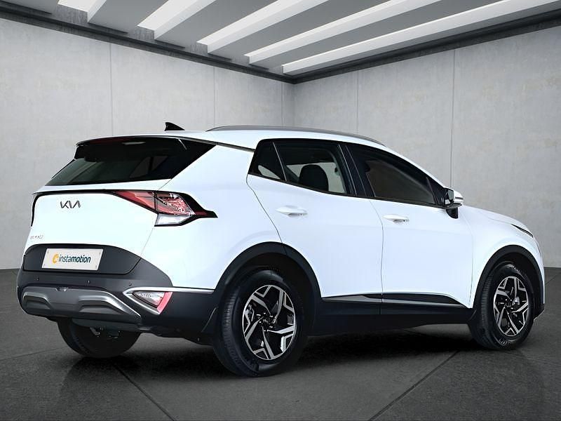 Gebraucht Kia Sportage 162 PS (119 kW) 2024 Weiß SUV