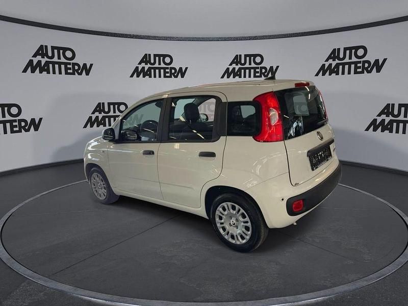 Neu Fiat Panda Icon 65 PS (47 kW) 2026 Weiß Kleinwagen