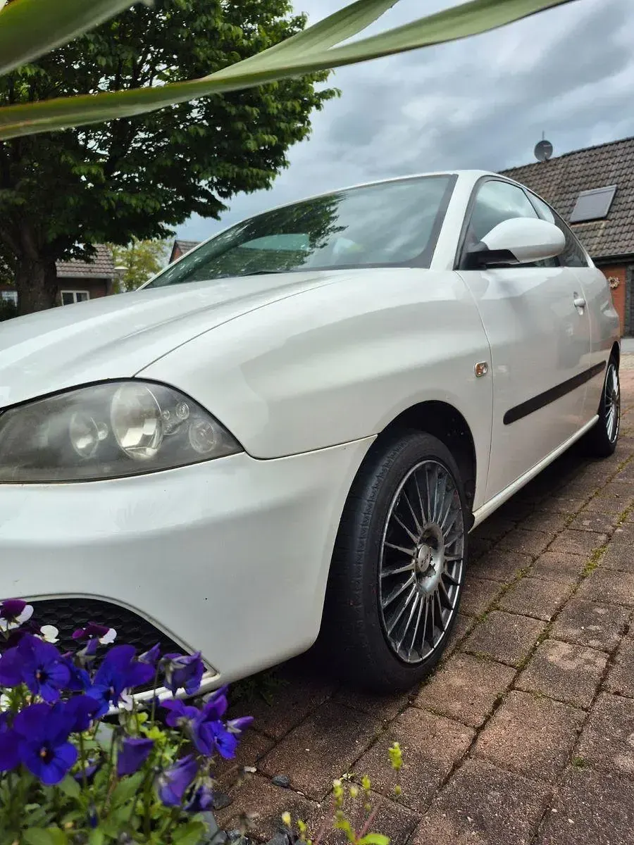 Gebraucht Seat Ibiza Reference 69 PS (50 kW) 2008 Weiß Limousine